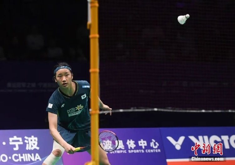 欧洲新星之 欧洲新星之